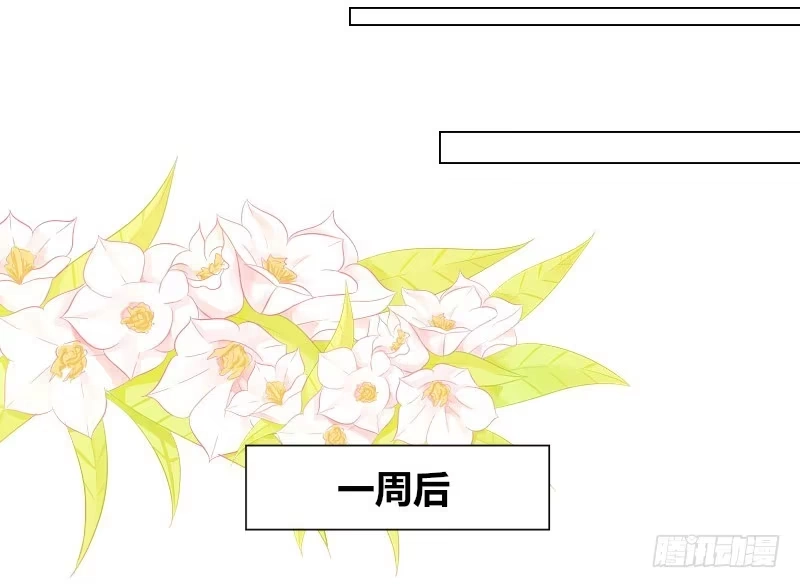 公主的女王命 这副身体...和他有什么关系？ 第26页