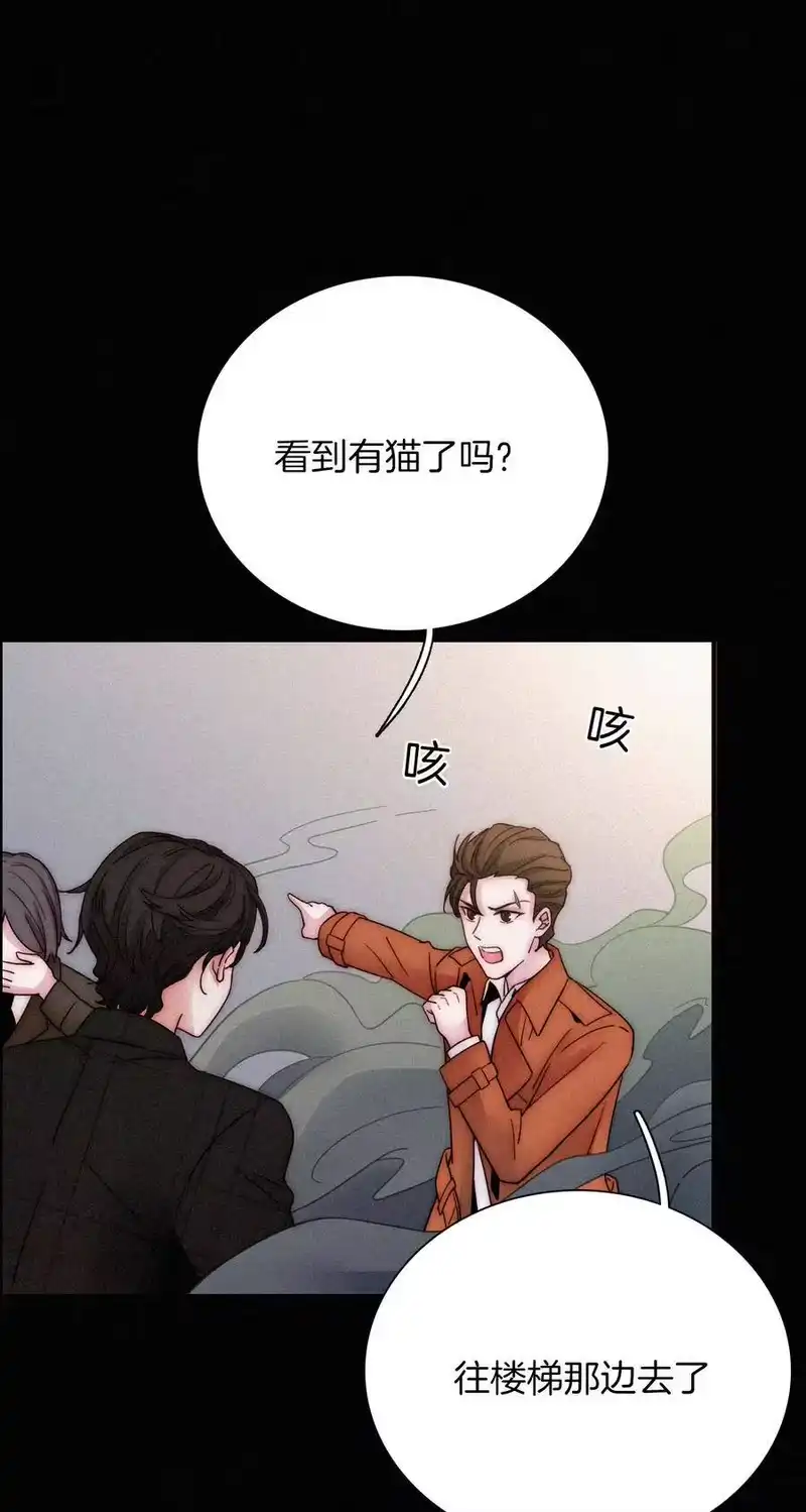 有猫的迷宫_h 009 骚动、反击 第36页