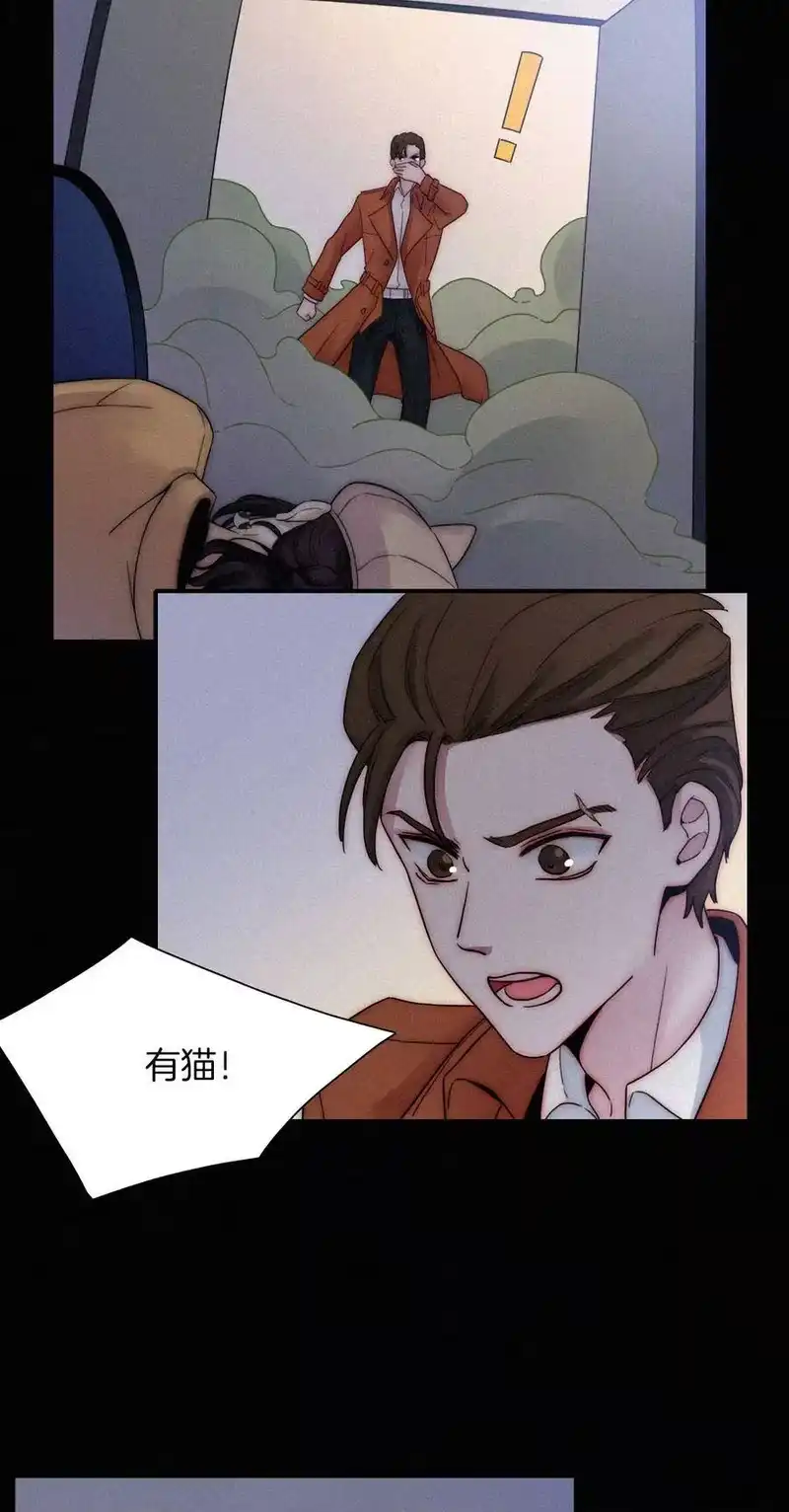 有猫的迷宫_h 009 骚动、反击 第47页