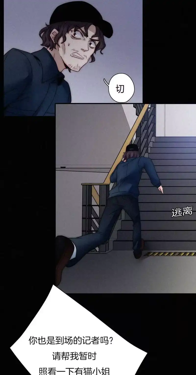 有猫的迷宫_h 009 骚动、反击 第48页