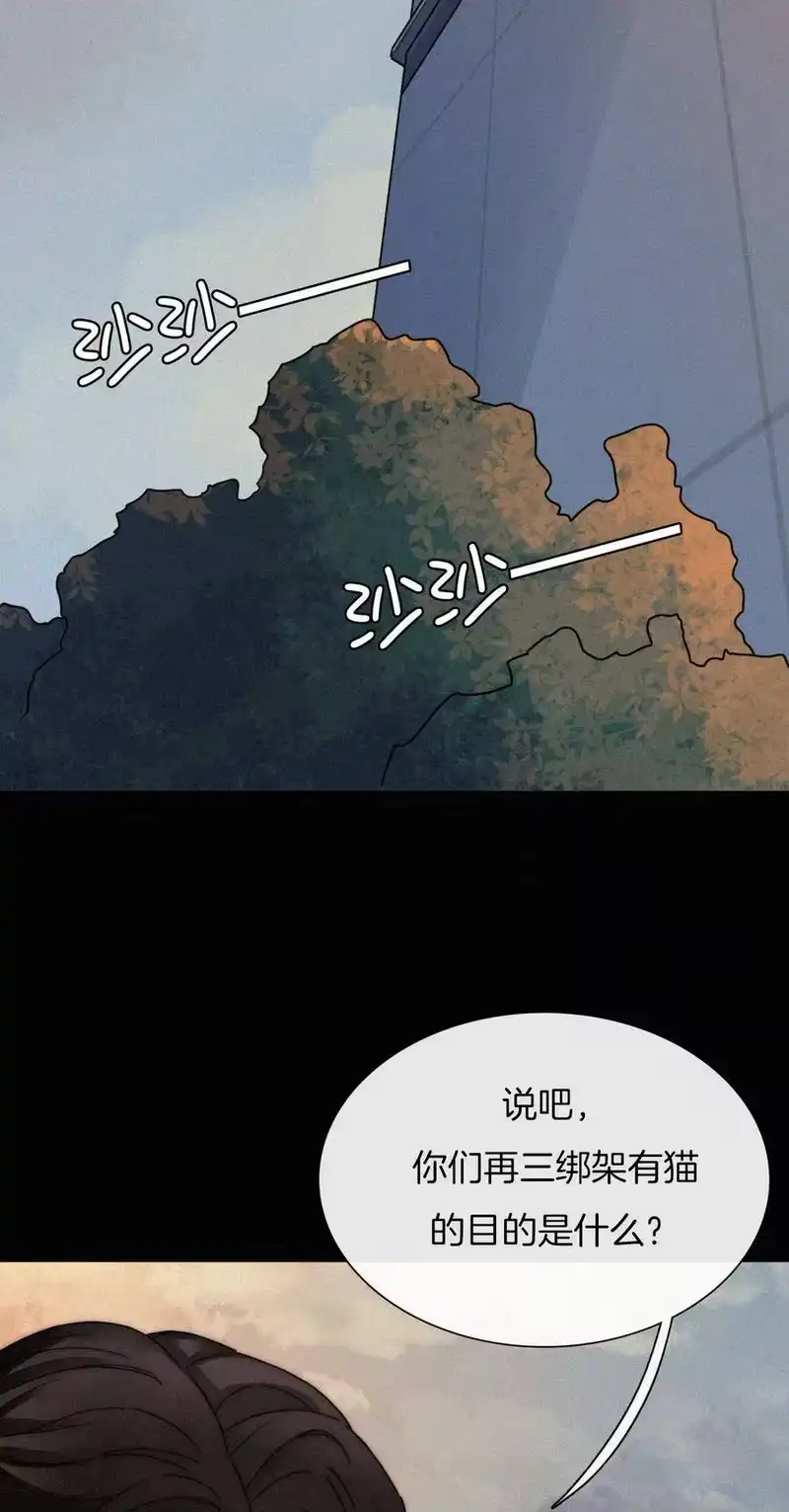有猫的迷宫_h 010 死亡、乐园 第4页