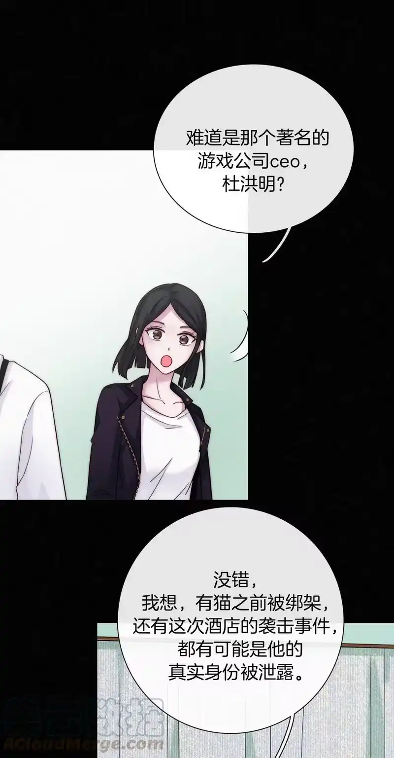 有猫的迷宫_h 012 秘密、照片 第41页