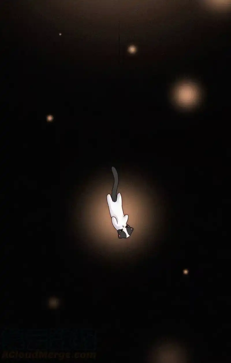 有猫的迷宫_h 015 遗忘的、那天 第13页
