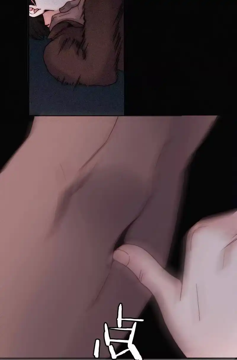 有猫的迷宫_h 018 疑惑、危机 第60页