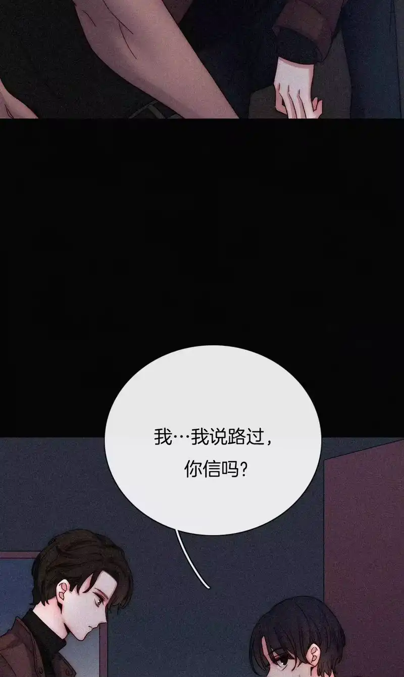 有猫的迷宫_h 018 疑惑、危机 第68页