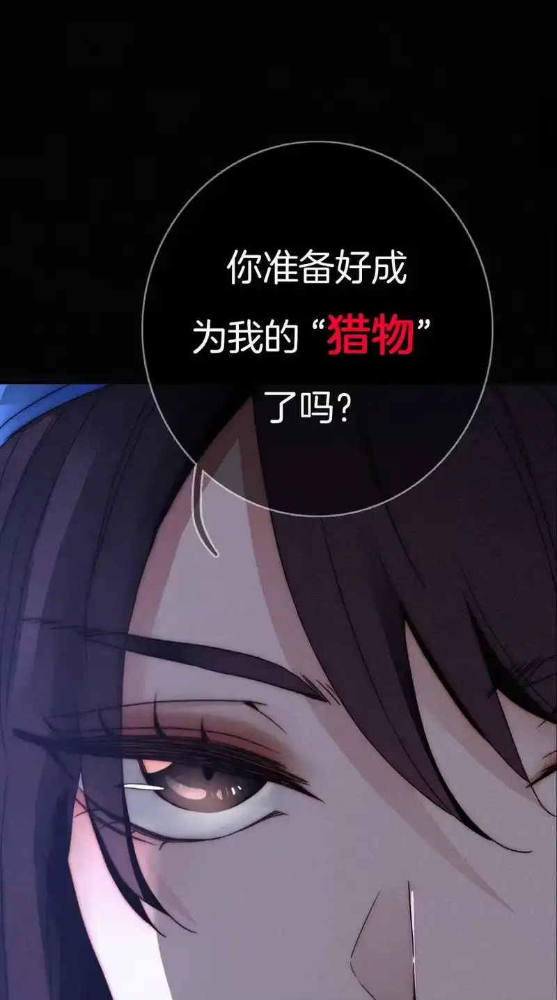 有猫的迷宫_h 预告 预告 第17页
