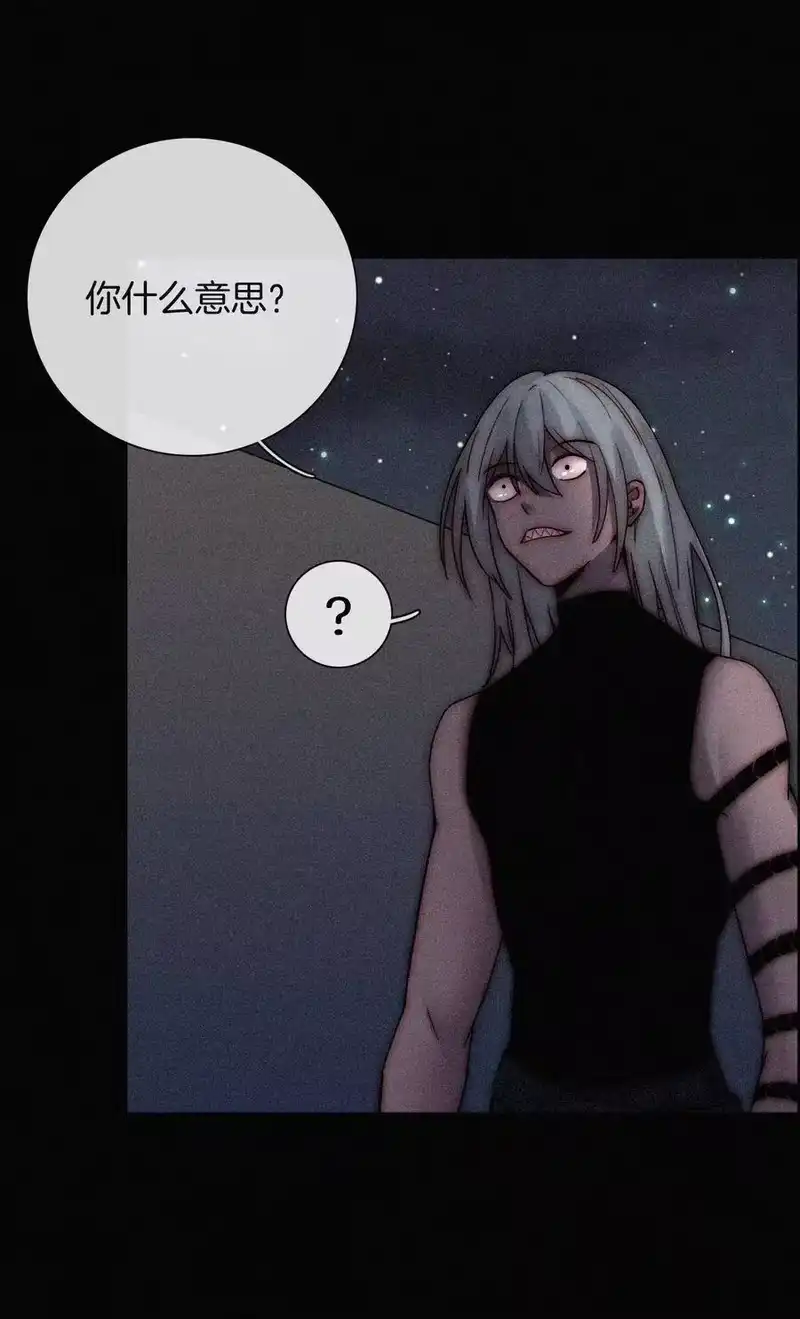 有猫的迷宫_h 020 家人、爱人 第19页