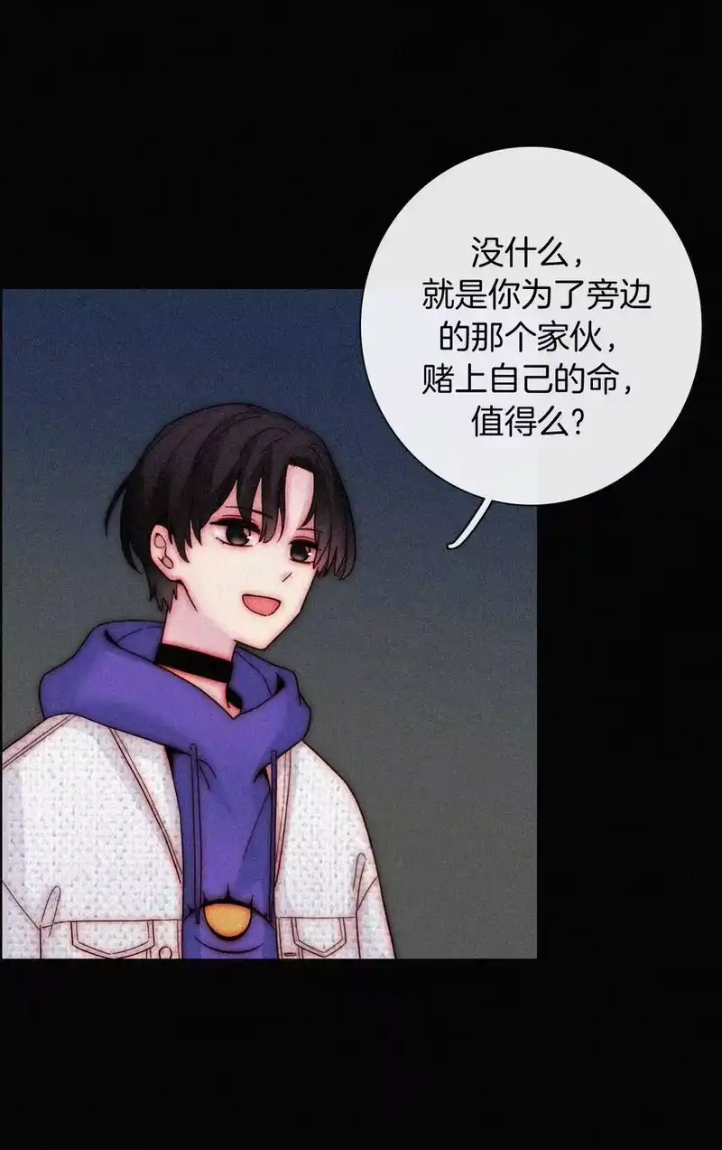 有猫的迷宫_h 020 家人、爱人 第20页