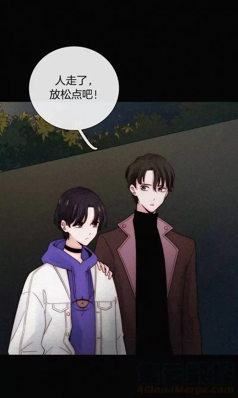 有猫的迷宫_h 020 家人、爱人 第29页