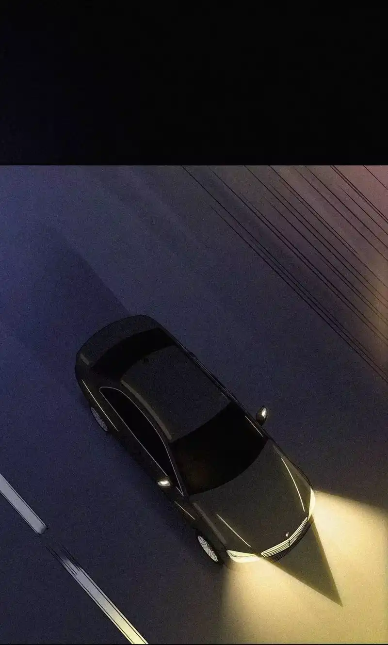 有猫的迷宫_h 020 家人、爱人 第63页