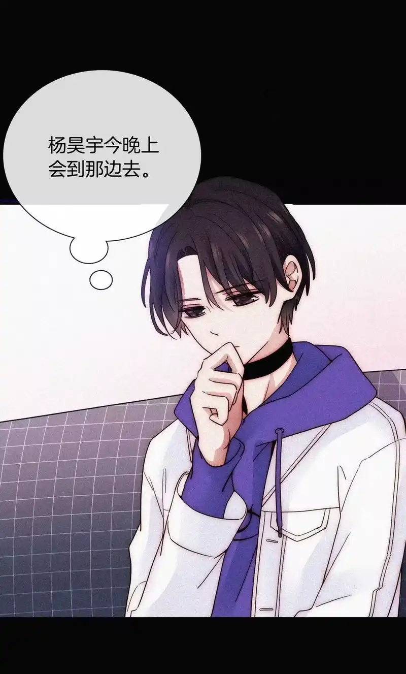 有猫的迷宫_h 21 苦肉、猜忌 第4页