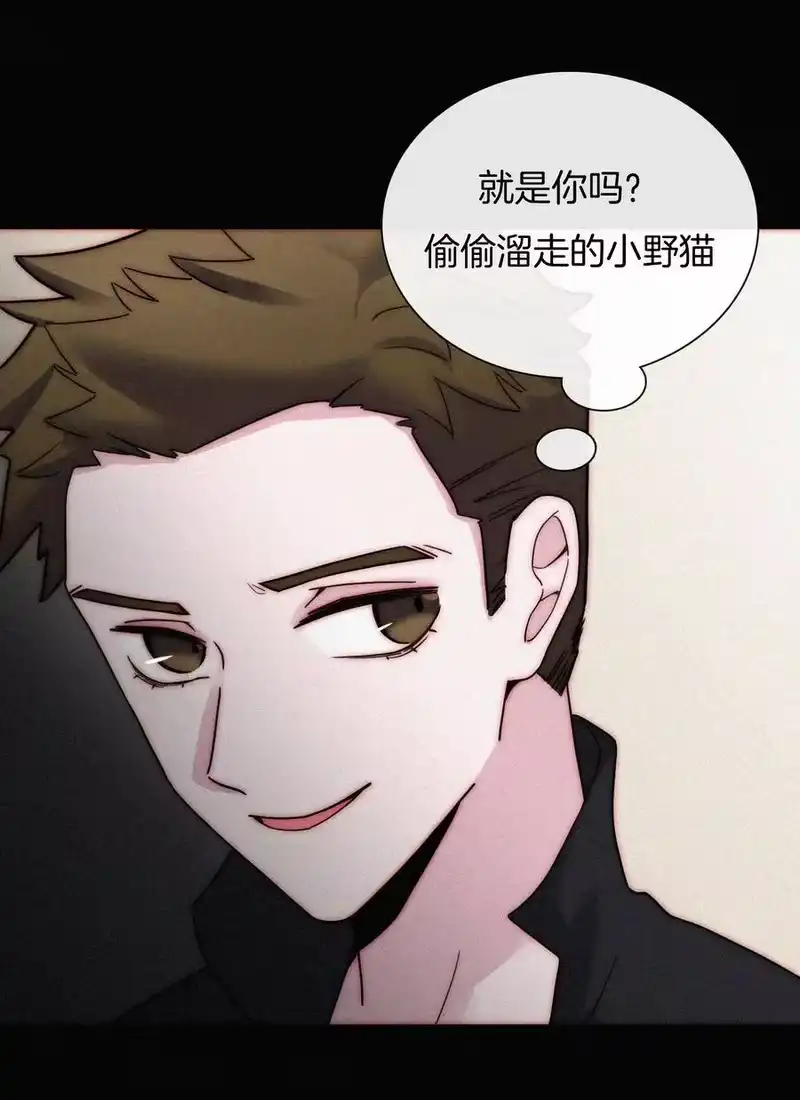 有猫的迷宫_h 023 偶像、小野猫 第11页