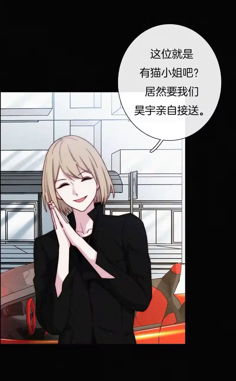 有猫的迷宫_h 023 偶像、小野猫 第2页