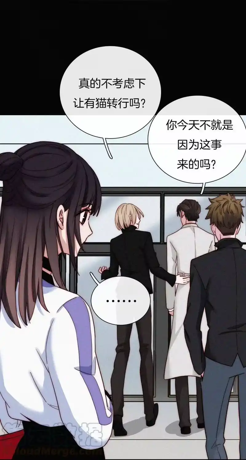 有猫的迷宫_h 023 偶像、小野猫 第9页