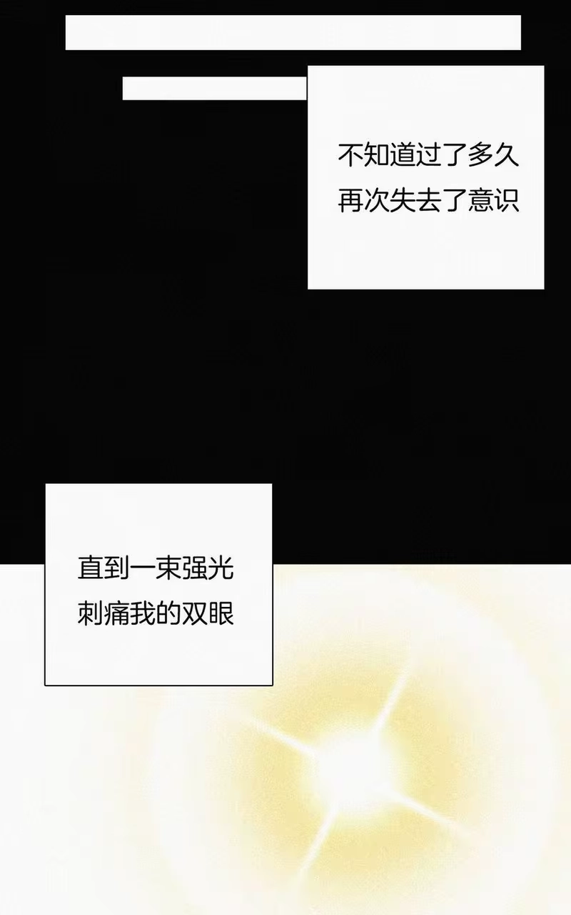 有猫的迷宫_h 025 英雄、囚徒 第38页