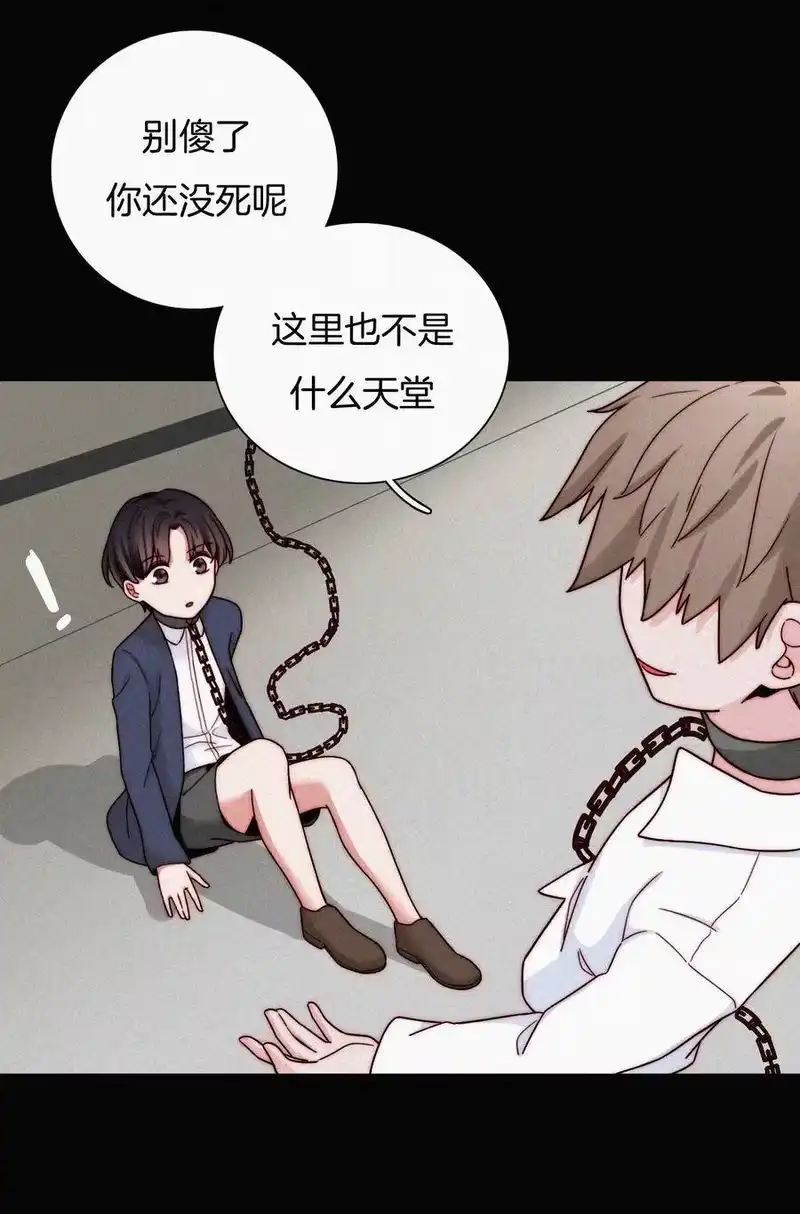 有猫的迷宫_h 025 英雄、囚徒 第41页