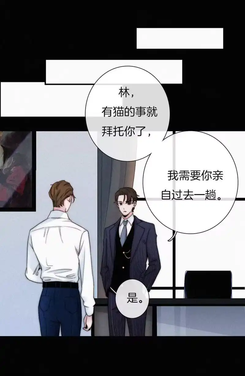 有猫的迷宫_h 001 主播、绑架 第34页