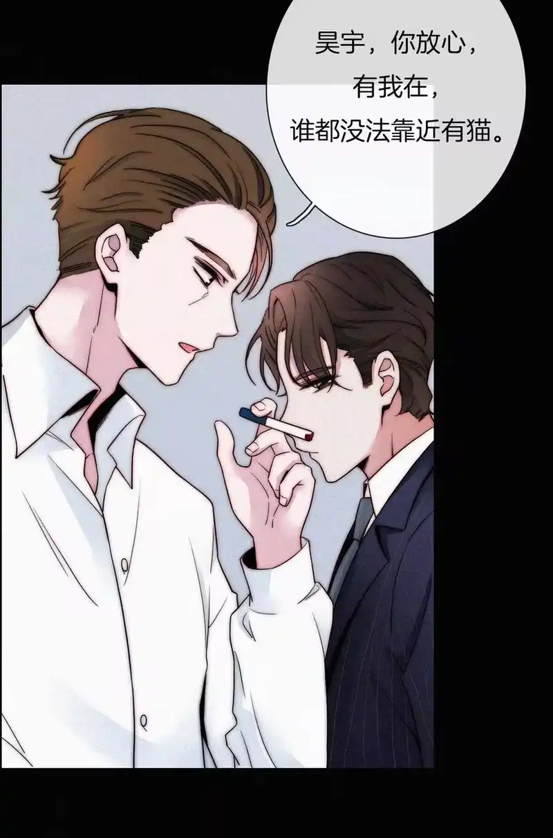 有猫的迷宫_h 001 主播、绑架 第36页