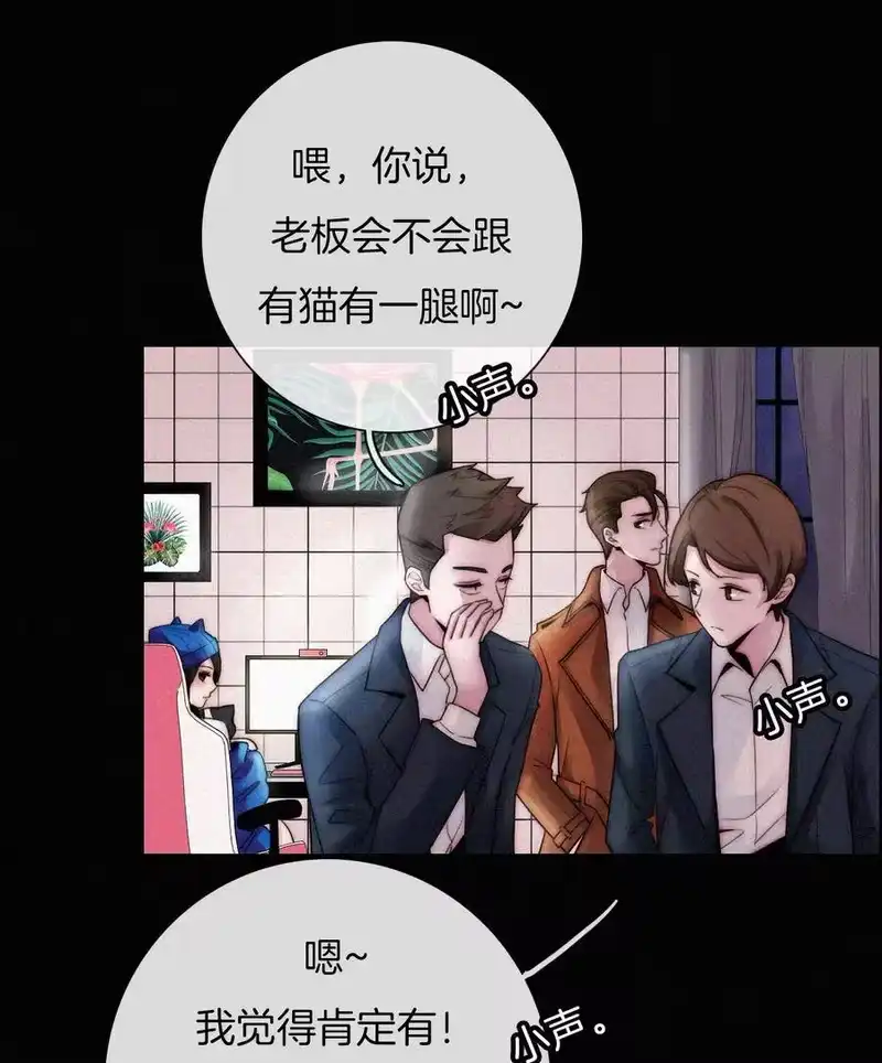 有猫的迷宫_h 001 主播、绑架 第40页