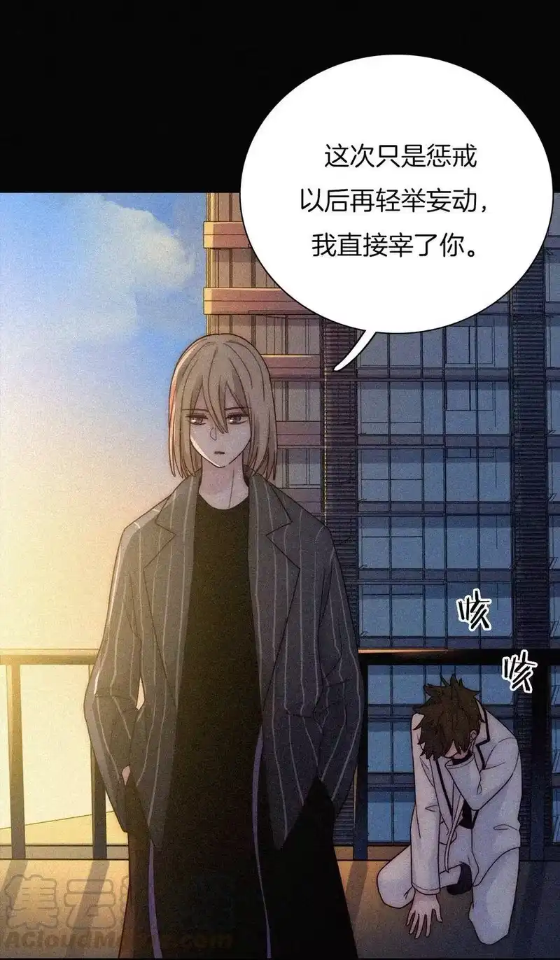 有猫的迷宫_h 033 布局、行动 第37页