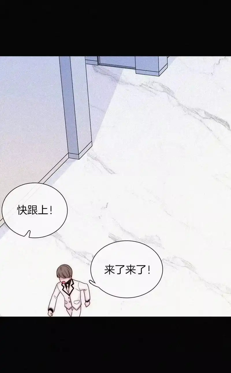 有猫的迷宫_h 033 布局、行动 第50页