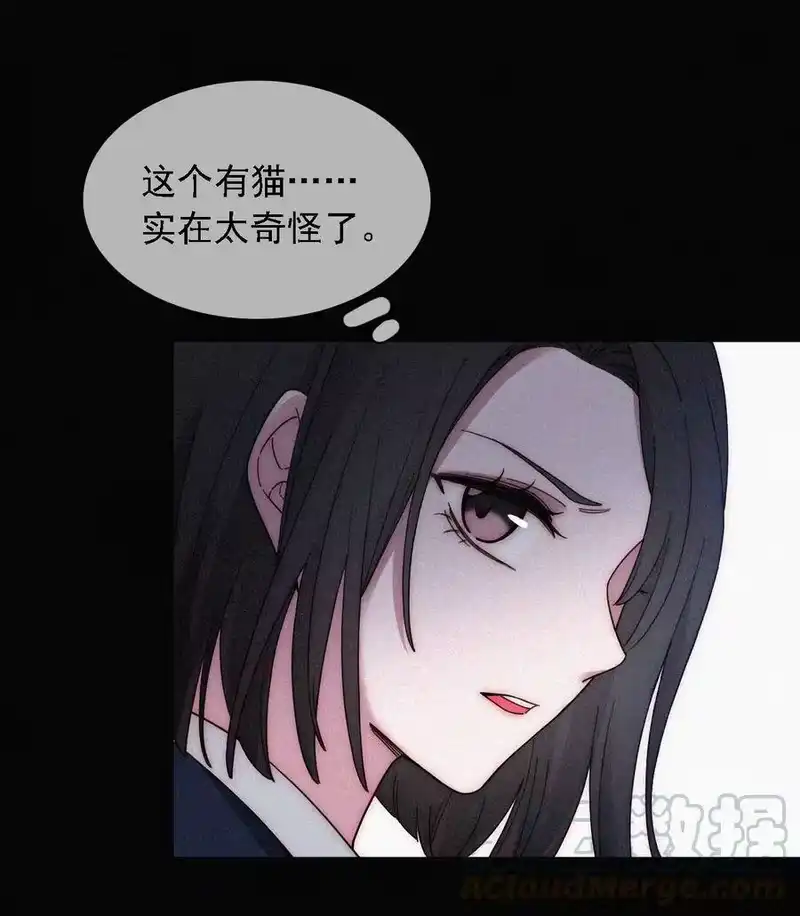 有猫的迷宫_h 035 会面、追踪 第22页