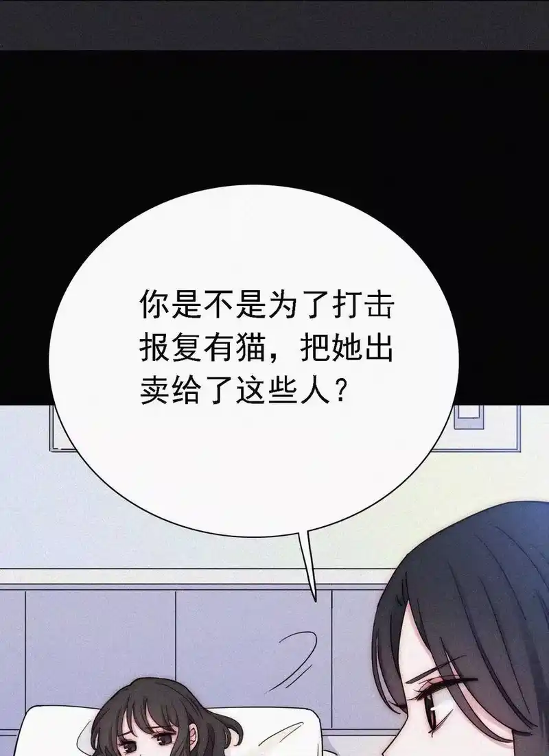 有猫的迷宫_h 037 鱼饵、反击 第40页