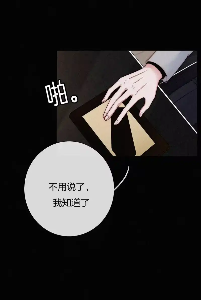 有猫的迷宫_h 002 追踪、内讧 第7页
