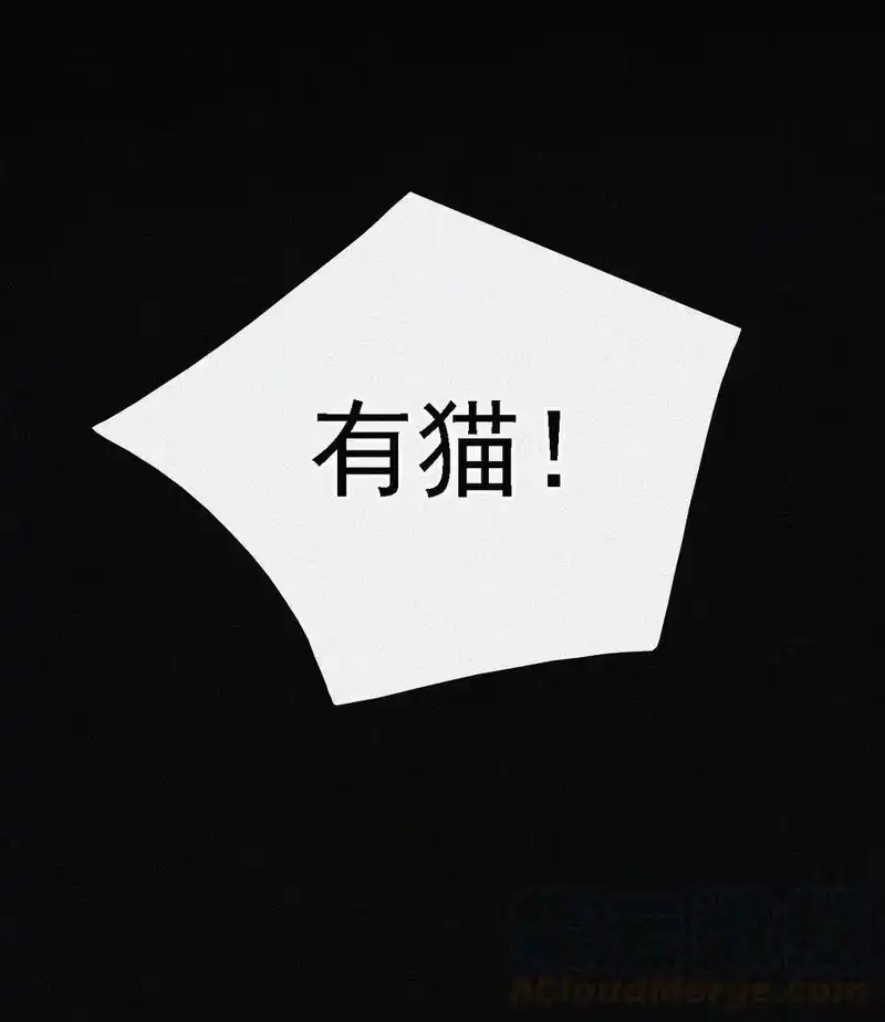 有猫的迷宫_h 039 波利、呼唤 第13页