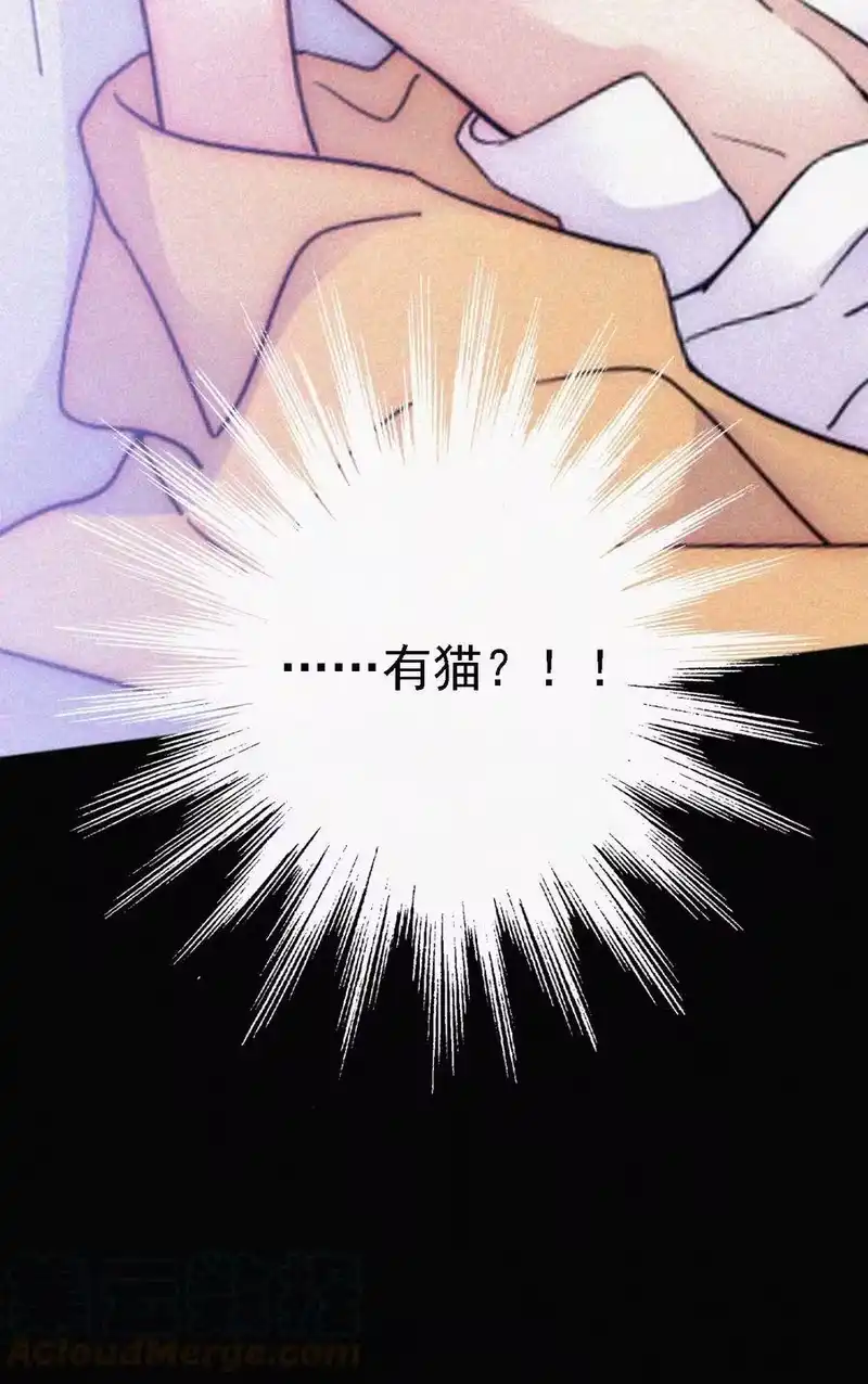 有猫的迷宫_h 052 层层的交织 第33页