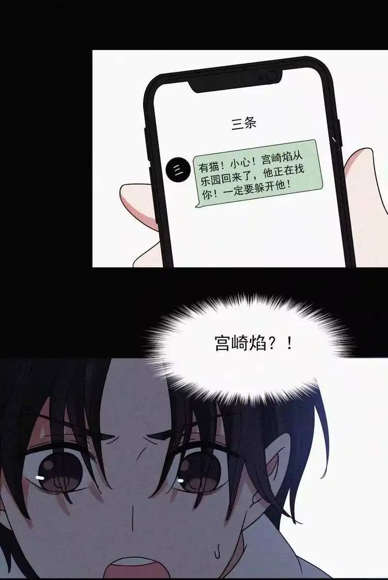 有猫的迷宫_h 062 你好呀，小猫咪！ 第23页