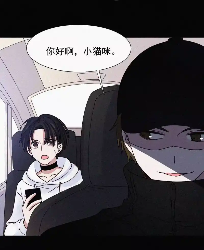 有猫的迷宫_h 062 你好呀，小猫咪！ 第24页