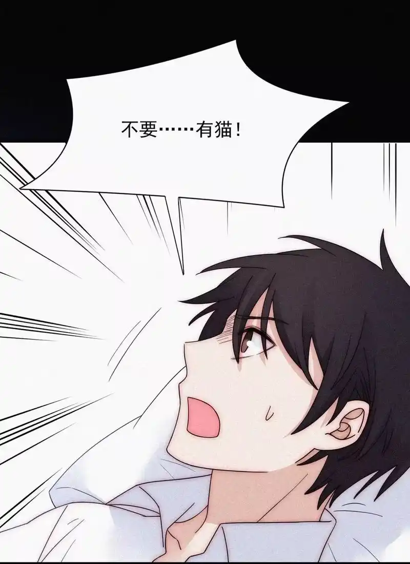 有猫的迷宫_h 066 圣子细胞 第3页