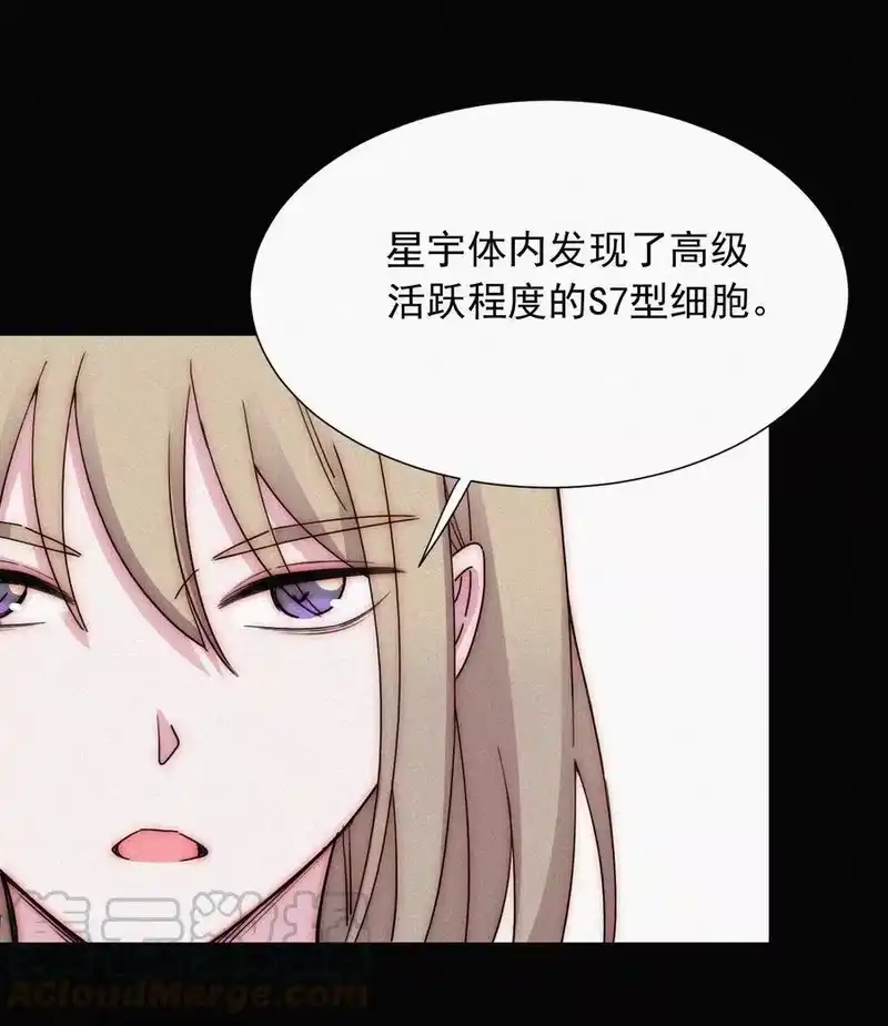 有猫的迷宫_h 067 赌一把 第13页