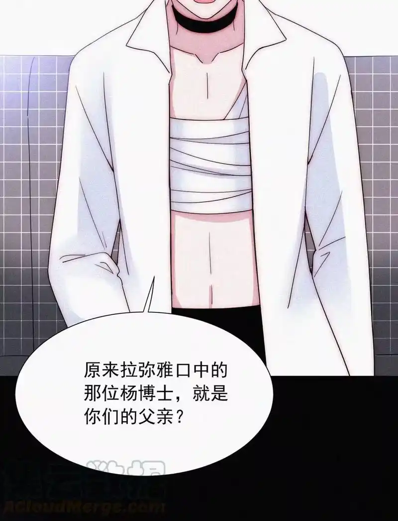 有猫的迷宫_h 067 赌一把 第19页
