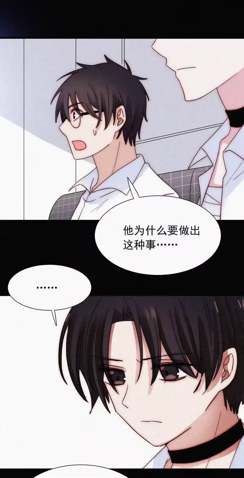有猫的迷宫_h 067 赌一把 第20页
