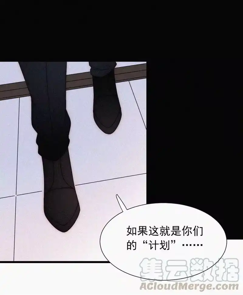 有猫的迷宫_h 067 赌一把 第3页