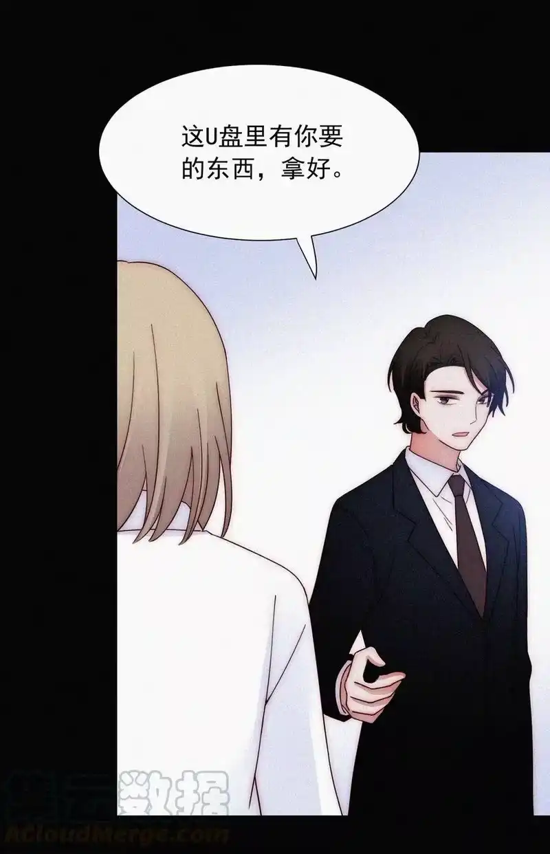 有猫的迷宫_h 067 赌一把 第35页