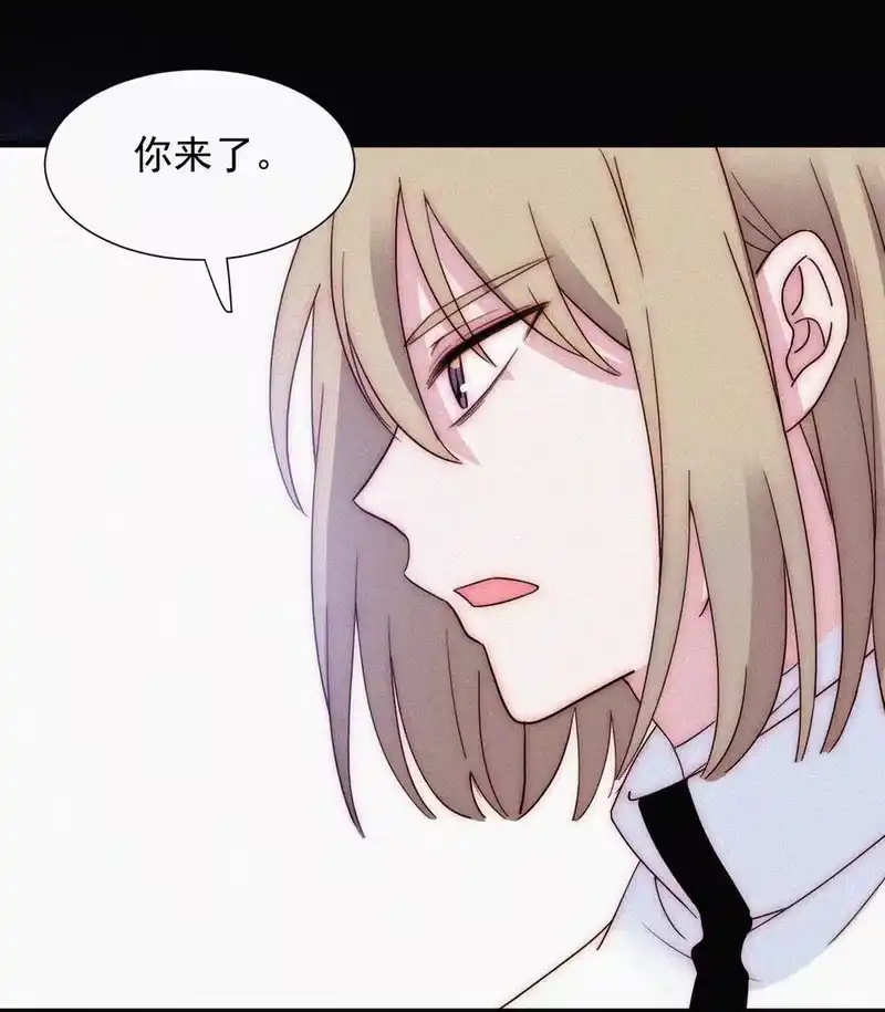 有猫的迷宫_h 067 赌一把 第6页