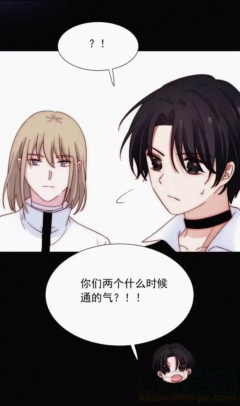有猫的迷宫_h 067 赌一把 第7页