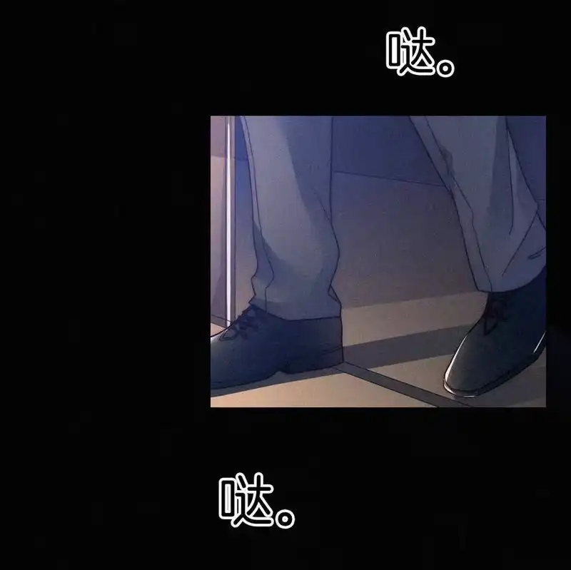 有猫的迷宫_h 006 重逢、回家 第11页
