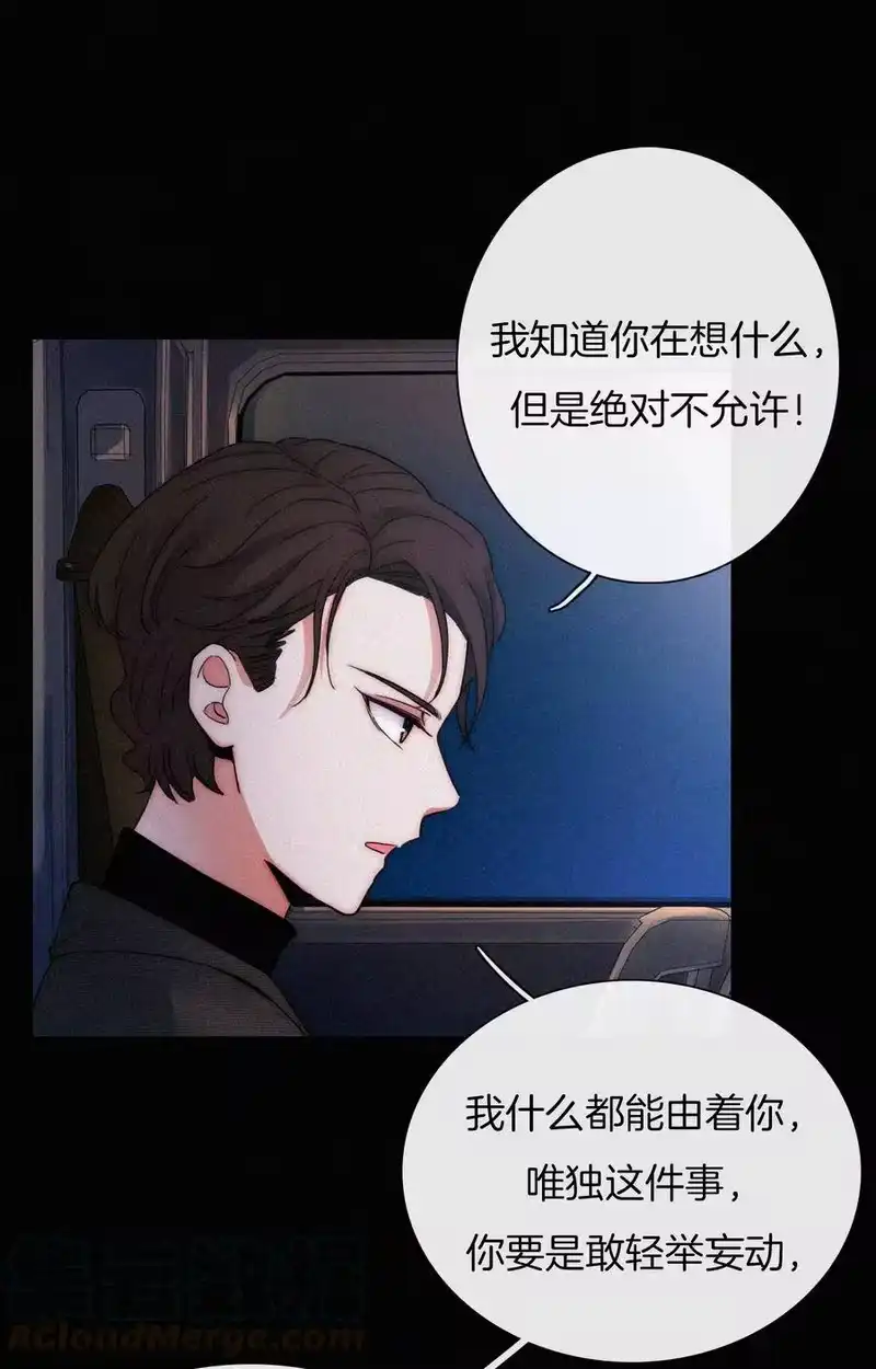 有猫的迷宫_h 006 重逢、回家 第41页