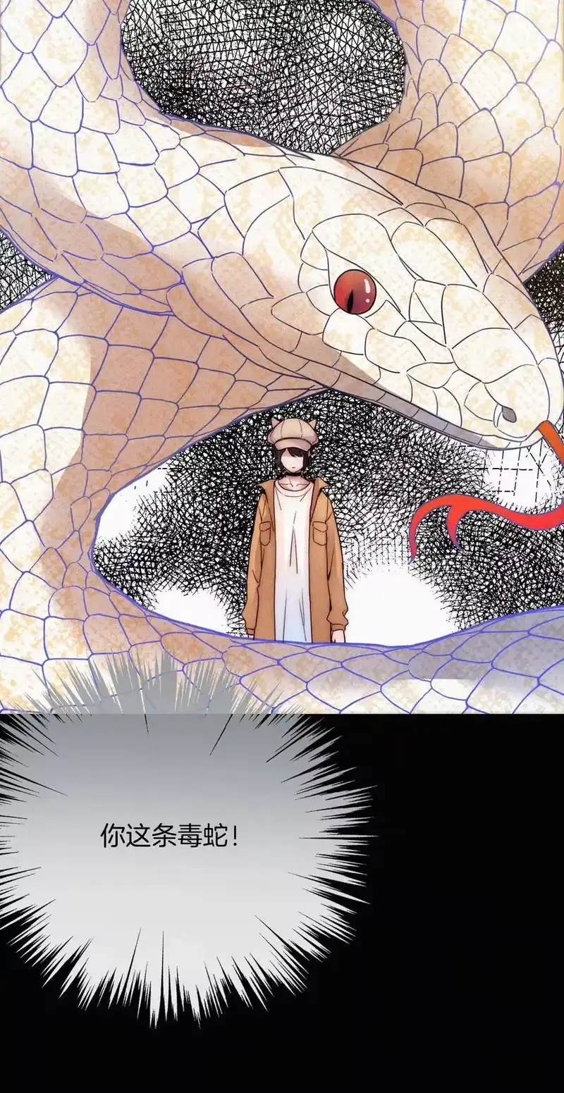 有猫的迷宫_h 008 宴会、毒蛇 第34页