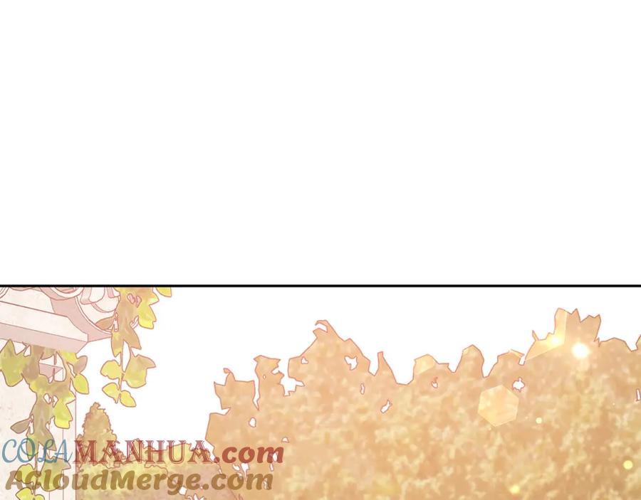 第241页