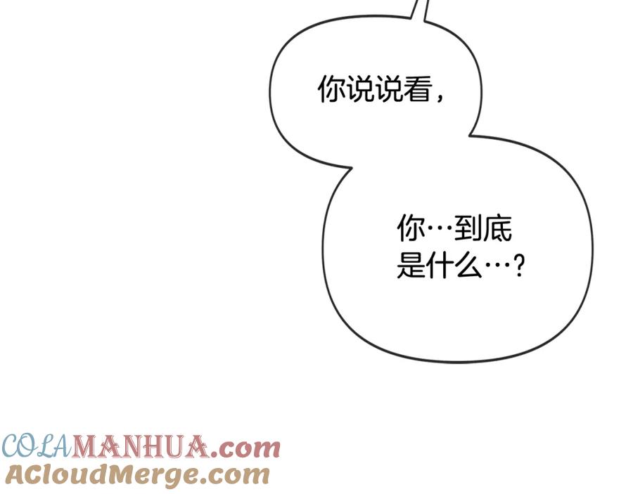 第221页