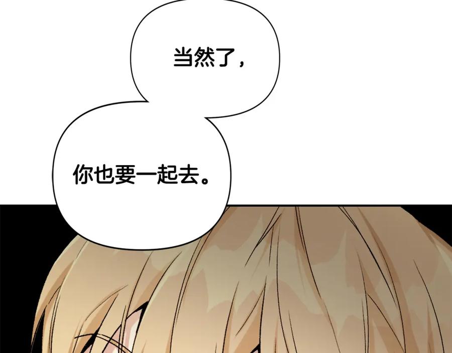 第223页