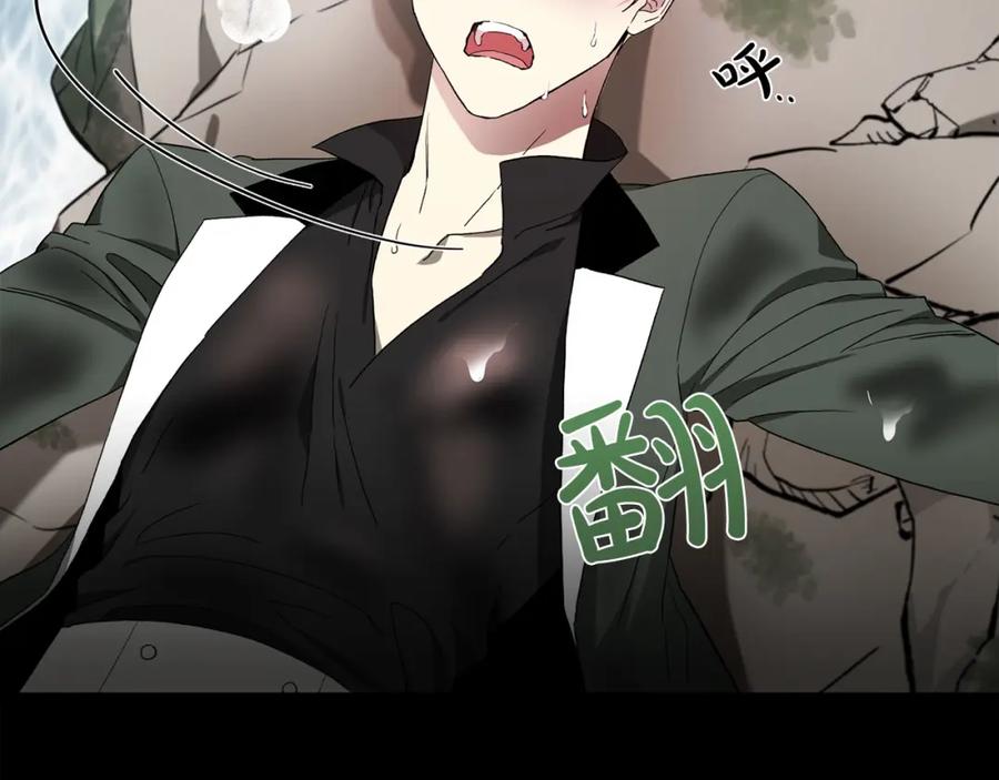 第196页