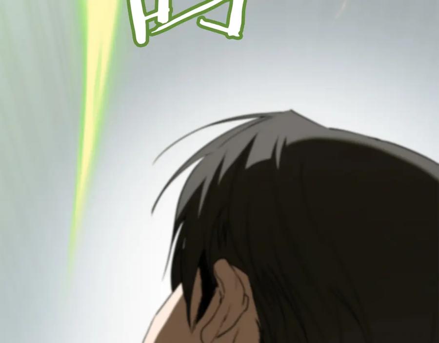 第282页