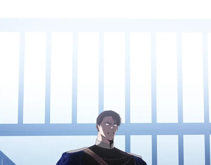 第233页