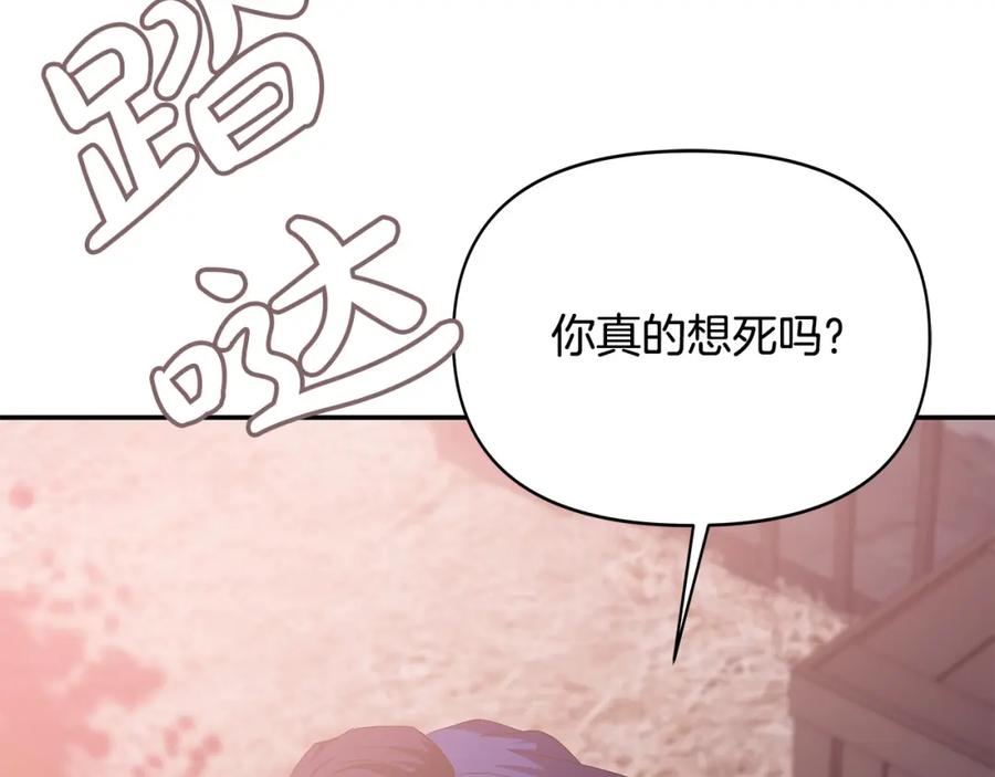 第242页